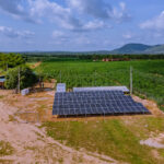 Seyi Makinde's Achievement in the economy: agribusiness industrial park
