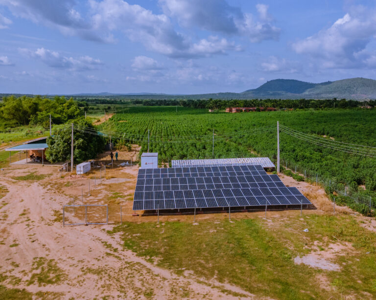 Seyi Makinde's Achievement in the economy: agribusiness industrial park