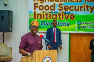 Governor Seyi Makinde's Delivering his Opening Remarks at the Agribusiness for Food Security Initiative on 29 April 2024